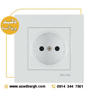 فیش آنتن آسا دلند